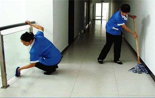 專業(yè)家政服務(wù)專家 莉莉家政，為您提供全方位清洗與保潔解決方案